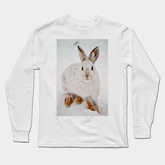 Snow Shoe Hare Long Sleeve T-Shirt by jaydee1400